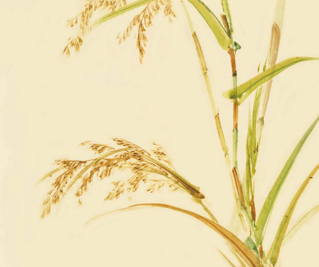 晚饭是……